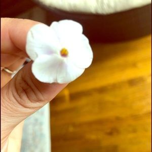 Make an offer! All must go!